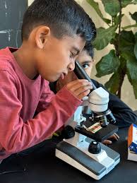 School News — Accelerated Academics