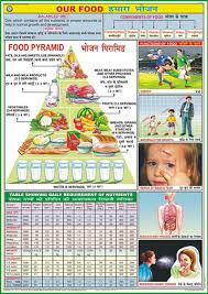 spectrum impex charts on food and nutrition set of 10 charts