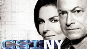 Fourth Season Where Can You Watch Csi New York Mac Taylor Csi Ny On Hulu  CSI:
