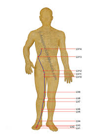 Liver Meridian Acupuncture