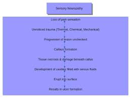 Ulcerations associated with diabetes are the most common cause of foot ulcers. Pathophysiology Of Diabetic Foot Questions And Answers World Surgery Forum