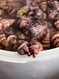 Travel guide resource for your visit to sungai siput. Ni La Muka Siput Yang Korang Sedut Tu The Viral Stories Facebook