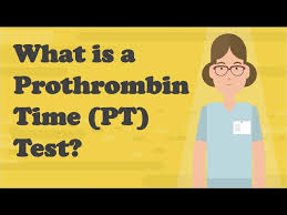 Image result for Prothrombin Time