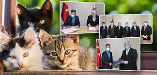 sahipli kedi ve kopeklerin kimliklendirilmesi zorunlu olacak