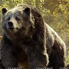 The jungle book_mowgli meets baloo. Baloo From The Jungle Book Charactour