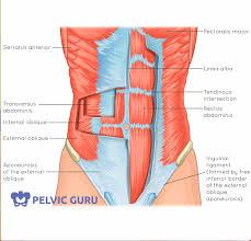 core ility abdominals back pain