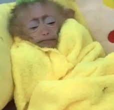 Kate Rubio (@kate_rubiot)