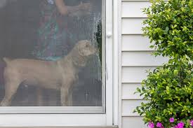 This will loosen the tension on the deadbolt allowing it … 3 Signs It S Time To Replace Your Storm Door Clinton Glass