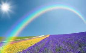 You can download them in psd, ai, eps or cdr format. 100 Spring Hd Wallpapers Background Images
