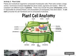 Check spelling or type a new query. Activity 2 Plant Cells Plants Are Multicellular Chegg Com