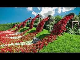Beautiful Flower Garden Video Download Amazing Blooming Flower In 2020 Beautiful Flowers Garden Beautiful Flowers Beautiful Gardens
