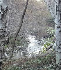 Glenn Camp Campground in Angeles National Forest, California: Reviews and  Photos 2025