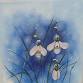 Paint Nite: Snowy Snowdrops event image