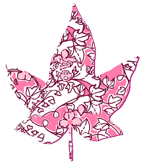 Lilly Pulitzer Ivy Leaf 3 Alpha Phi Phi Alpha