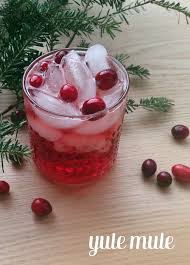 Yule Mule A Christmas Moscow Mule Recipe Festive Holiday Moscow Mule Feast West Recipe Christmas Punch Recipes Punch Recipes Festive Holiday Cocktails