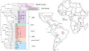 Among parenting styles, parental beliefs, and emotional responses may. Frontiers Hemorrhagic Fever Causing Arenaviruses Lethal Pathogens And Potent Immune Suppressors Immunology