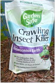 Diatomaceous Earth For Organic Pest Control H2obungalow Organic Pest Control Organic Pest Green Pest Control