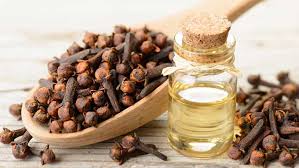Arab traders introduced them to europe in the 4th century. Clove Bud Essential Oil Newton S Compounding Pharmacy