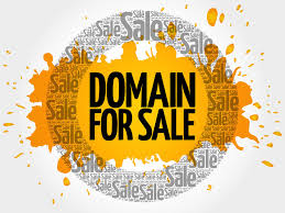 Buy And Sell A Domain Is The Domain Flipping A Business Cloudns Blog