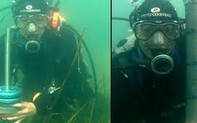 Research: Seagrass meadows shrank by 92% in UK waters