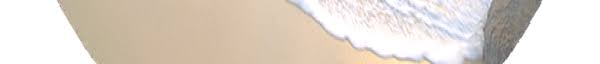 Https Theses Univ Oran1 Dz Document Tha2563 Pdf