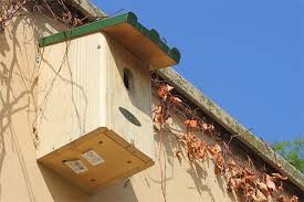Bauanleitungen Fur Vogel Nistkasten Nabu Vogelhaus Tierhauser Nistkasten Bauen