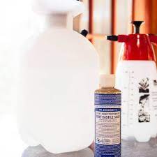 The baking soda should work on overall odors, but if you have just one spot or a stain, try making a vinegar spray recipe. Get Rid Of Pests With This 2 Ingredient Homemade Insecticide Garden Betty