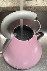 We did not find results for: How To Clean An Electric Kettle Alphafoodie