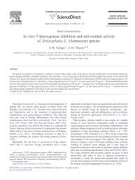 Image result for Eriocephalus microphyllus