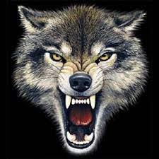 Wolf Snarling Face Gallery For B Wolf Snarling Face B Wolf Face Tattoo Snarling Wolf Wolf Face