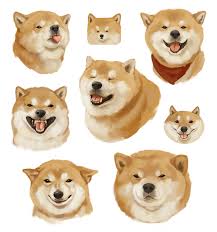 Many Faces Of Shiba Me Digital 2019 Art Cute Cartoon Drawings Cute Animal Drawings Dog Illustration