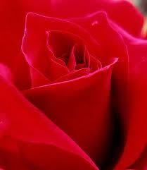 Sometimes side effects can be relieved by changing the dose of lithium. Lithium