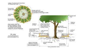 We decided to do at least 2′ around these small fruit trees. Raising Soil Grade Protecting Existing Trees Homeowners Tree Advice Forum Arbtalk The Social Network For Arborists