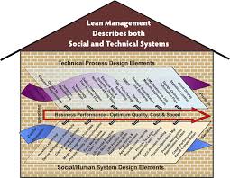 Organization Design Lean Six Sigma Business Analyst Leadership