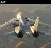 DCS: F-14 Tomcat