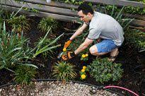 How much does a gardener cost. The True Cost Of Growing A Garden