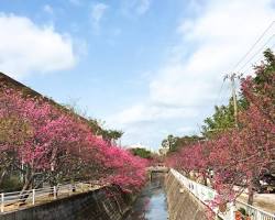 與儀公園的圖片