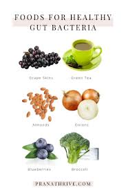 26 Best Foods For Gut Health Plus Worst Foods For Gut Health Gut Health Recipes Gut Health Healthy Gut