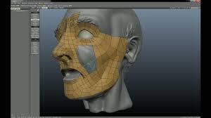 3d Coat Training Series Mesh Topology Retopology Tools Human Head Part I 3d Coat Human Head Topology