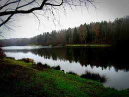 Von preußen aus gleich großen bannteilen der gemeinden neunkirchen und spiesen eine neue. Saarland Hundewanderlust
