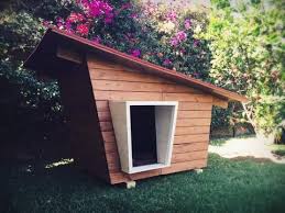Casa Para Perros Bongo Jardin Pour Chien Maison De Chat Chambre Pour Chien