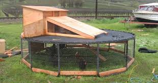 I Knew I Should Ve Saved That Old Trampoline Chicken Coop Made From A Trampoline Frame 5 Pictures Awes Diy Chicken Coop Building A Chicken Coop Chicken Diy