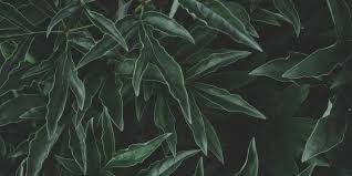 how to create mobile wallpapers to share with your instagram followers how to create mobile wallpapers to
