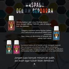 Ig Timki Essentialoils Younglivingjakarta Sistem Imun Oregano Nyamuk