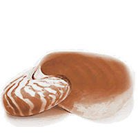 Interior Design MID: Master di I livello promosso da POLI.design