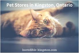 1091 e route 130 ste b. Pet Stores In Kingston Ontario Incredible Kingston