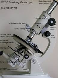 Image result for Polarized Microscopy