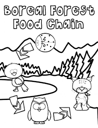There are tons of great resources for free printable color pages online. Boreal Forest Food Chain Colouring Book Thrifty Mommas Tips