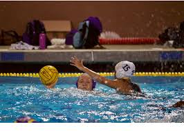 Girls Water Polo Team Wins Against Milpitas Hs 13 2 El Estoque With tenor, maker of gif keyboard, add popular water polo animated gifs to your conversations. team wins against milpitas hs 13 2