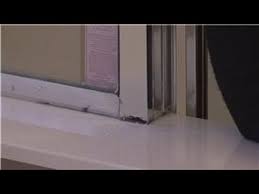 Molds are commonly found in nature and help to break down the nutrients in soil. Housecleaning Tips How To Identify Black Mold Youtube